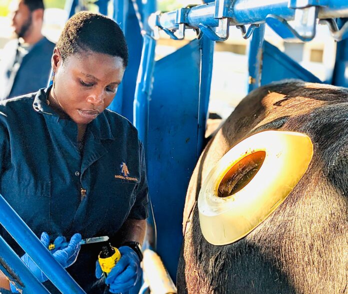 Deborah Okedoyin Revolutionizes Plant-Based Meat Industry with Cutting-Edge Safety Innovations