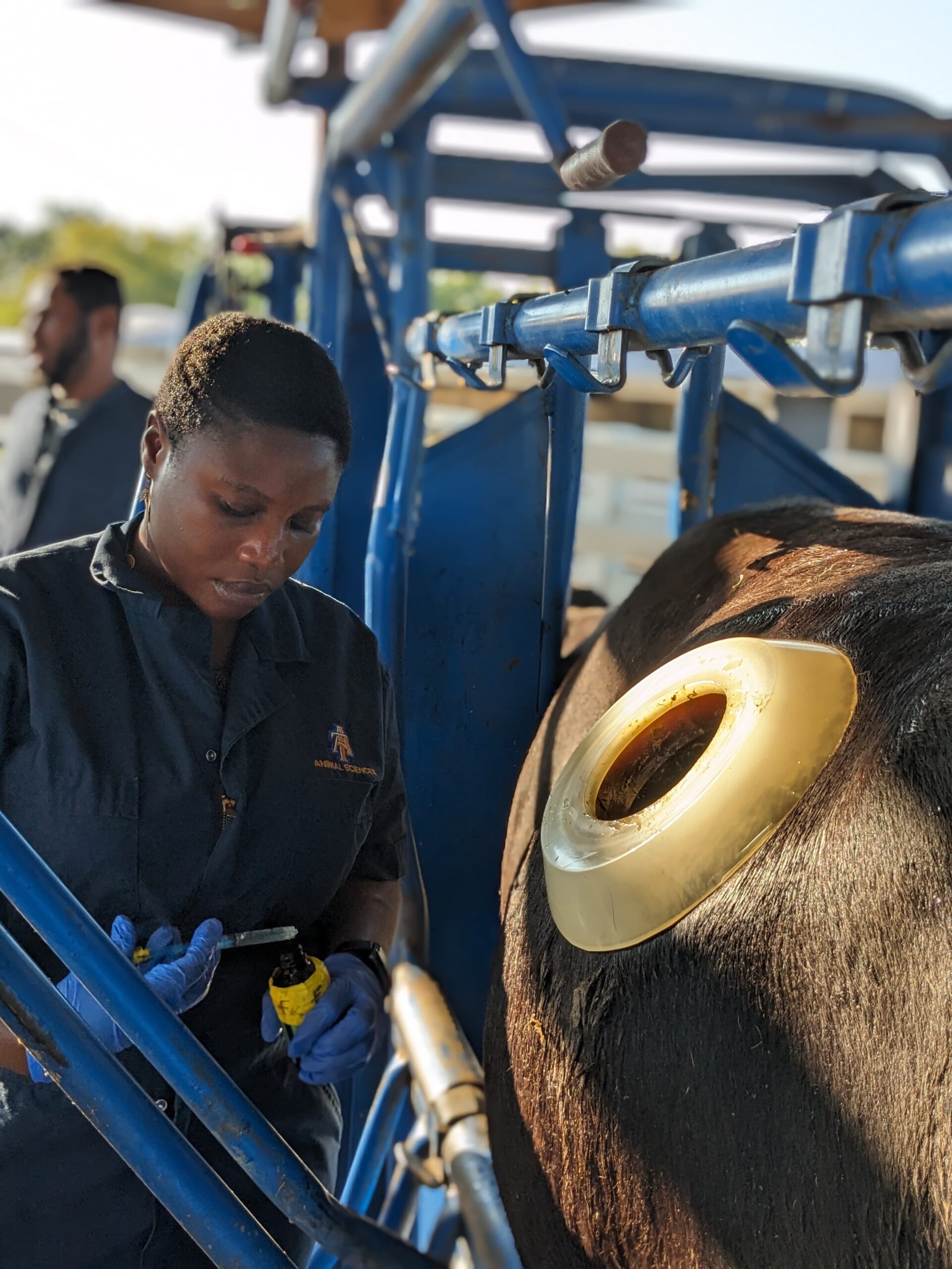 Harnessing Plant-Based Nutraceuticals to Combat Antibiotic Resistance in Livestock: A Sustainable Approach— By Deborah Okedoyin 